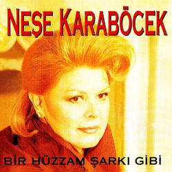Bir Hüzzam Şarkı Gibi