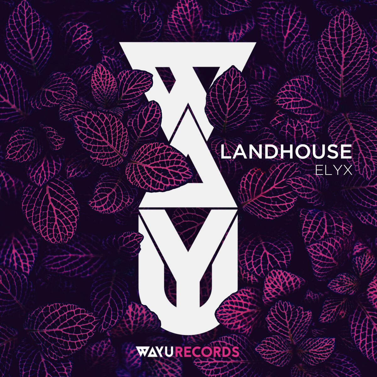 Album cover of Elyx