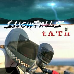 Cover of Snowfalls