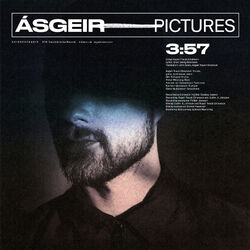Cover of Pictures