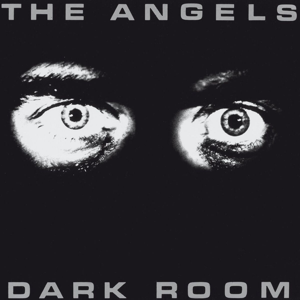 Album cover of Dark Room