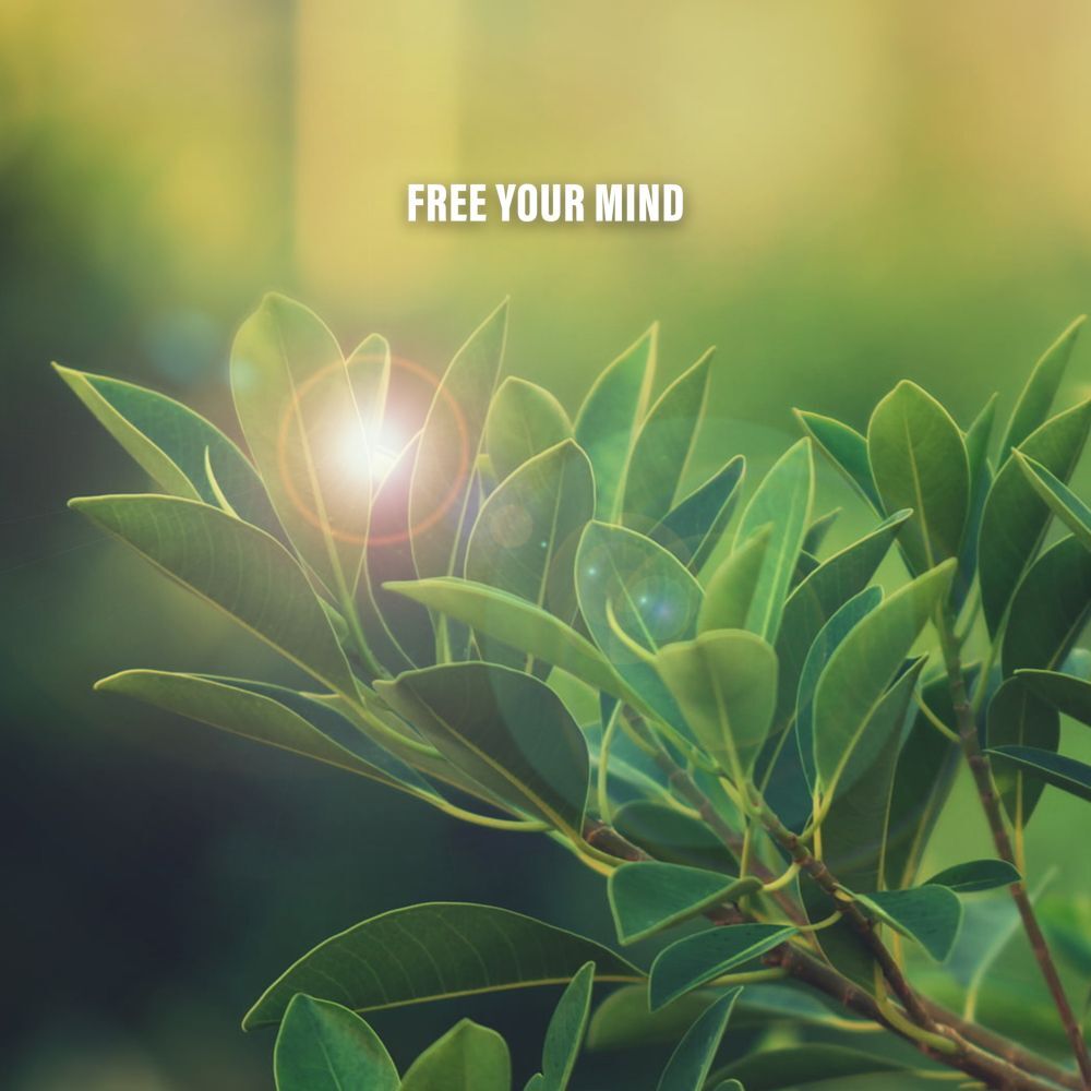 Picture of Free Your Mind