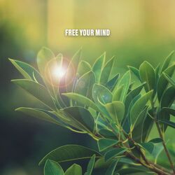 Cover of Free Your Mind