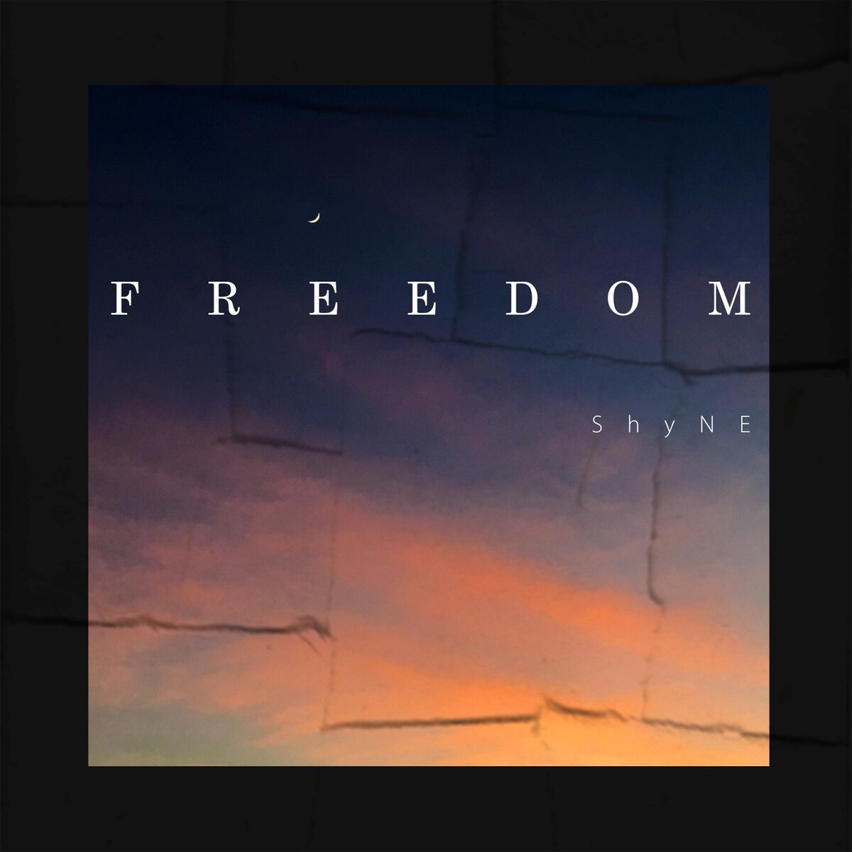 Album cover of Freedom