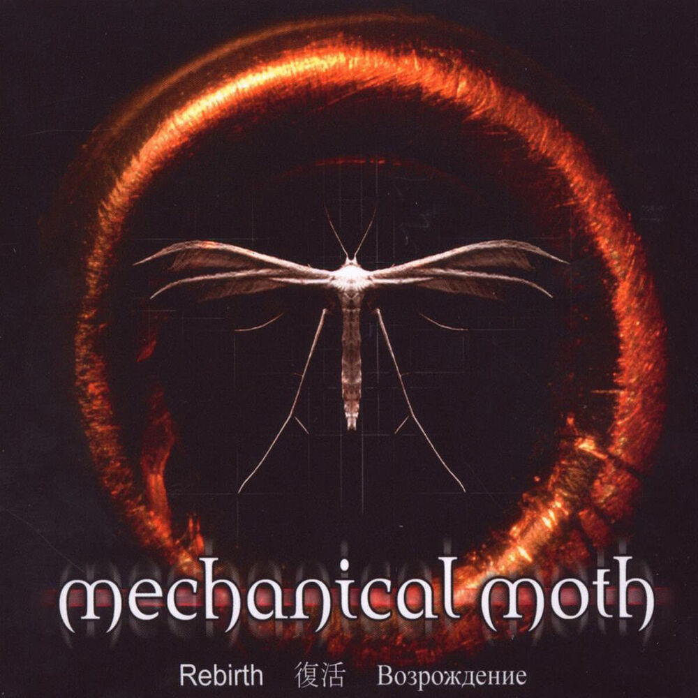 Picture of Rebirth