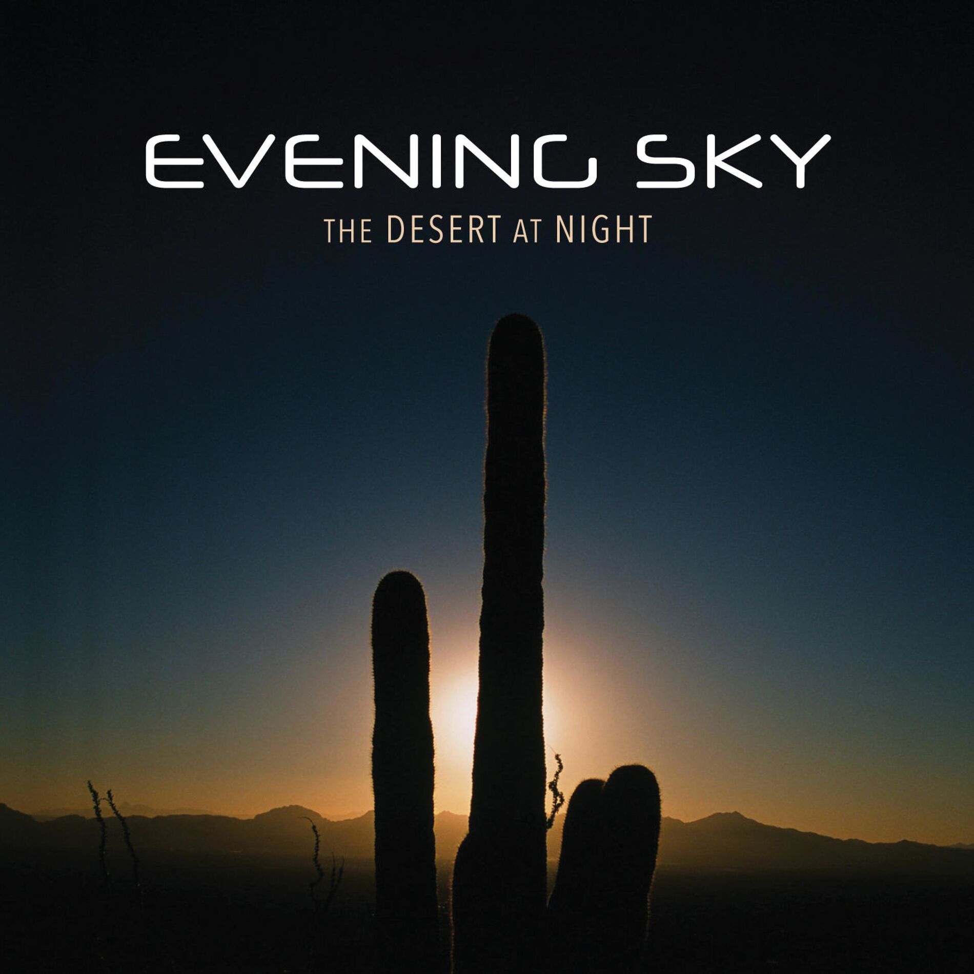 Album cover of The Desert At Night