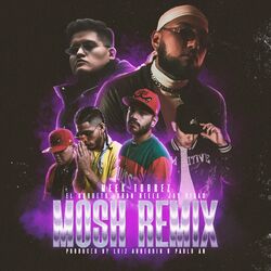 Cover of Mosh