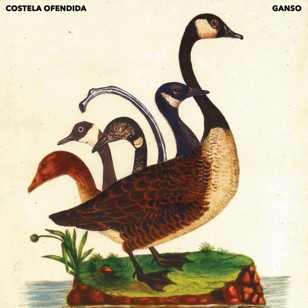 Picture of Costela Ofendida