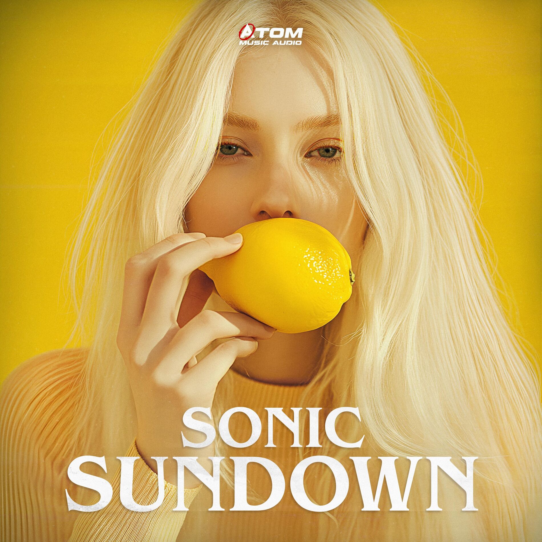 Album cover of Sonic Sundown