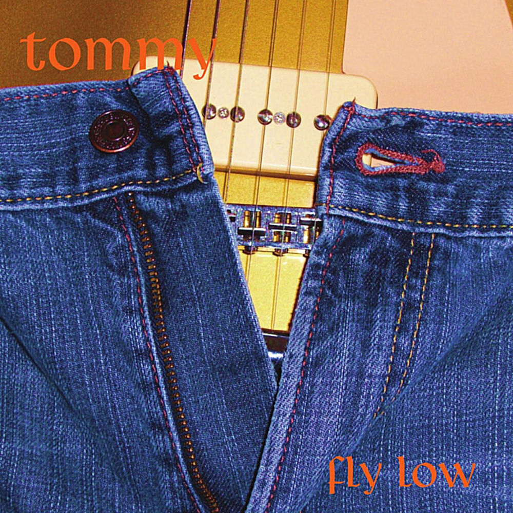 Picture of Fly Low