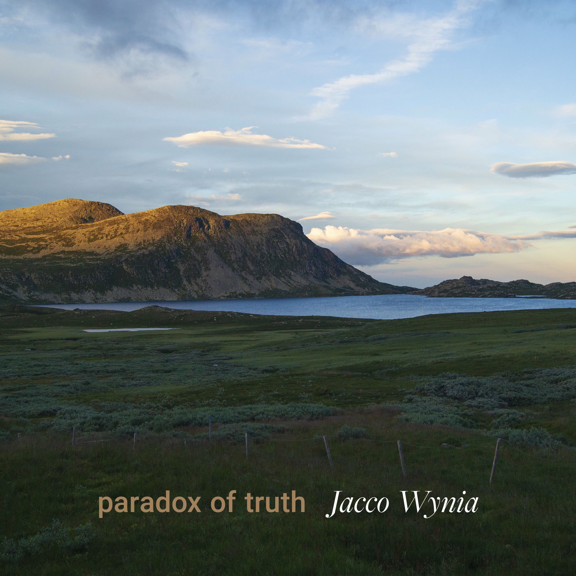Album cover of paradox of truth