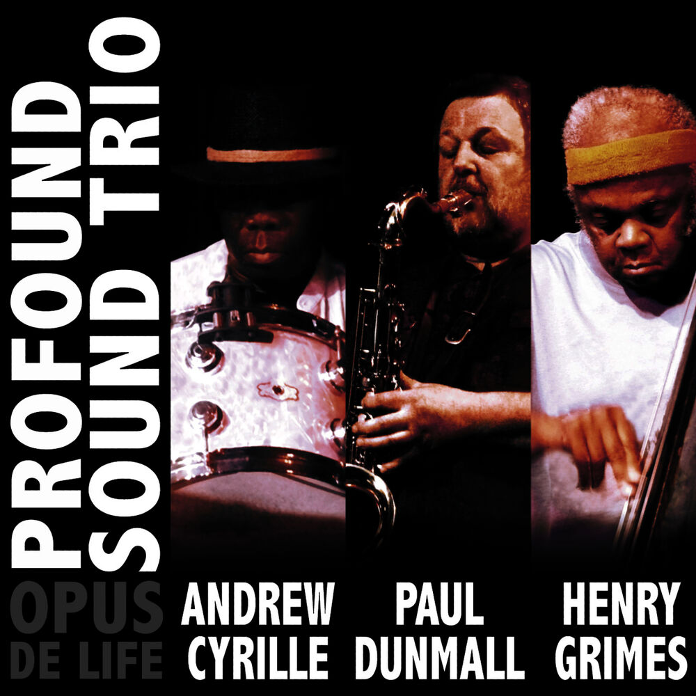Picture of Opus De Life