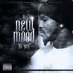 Cover of A New Mood