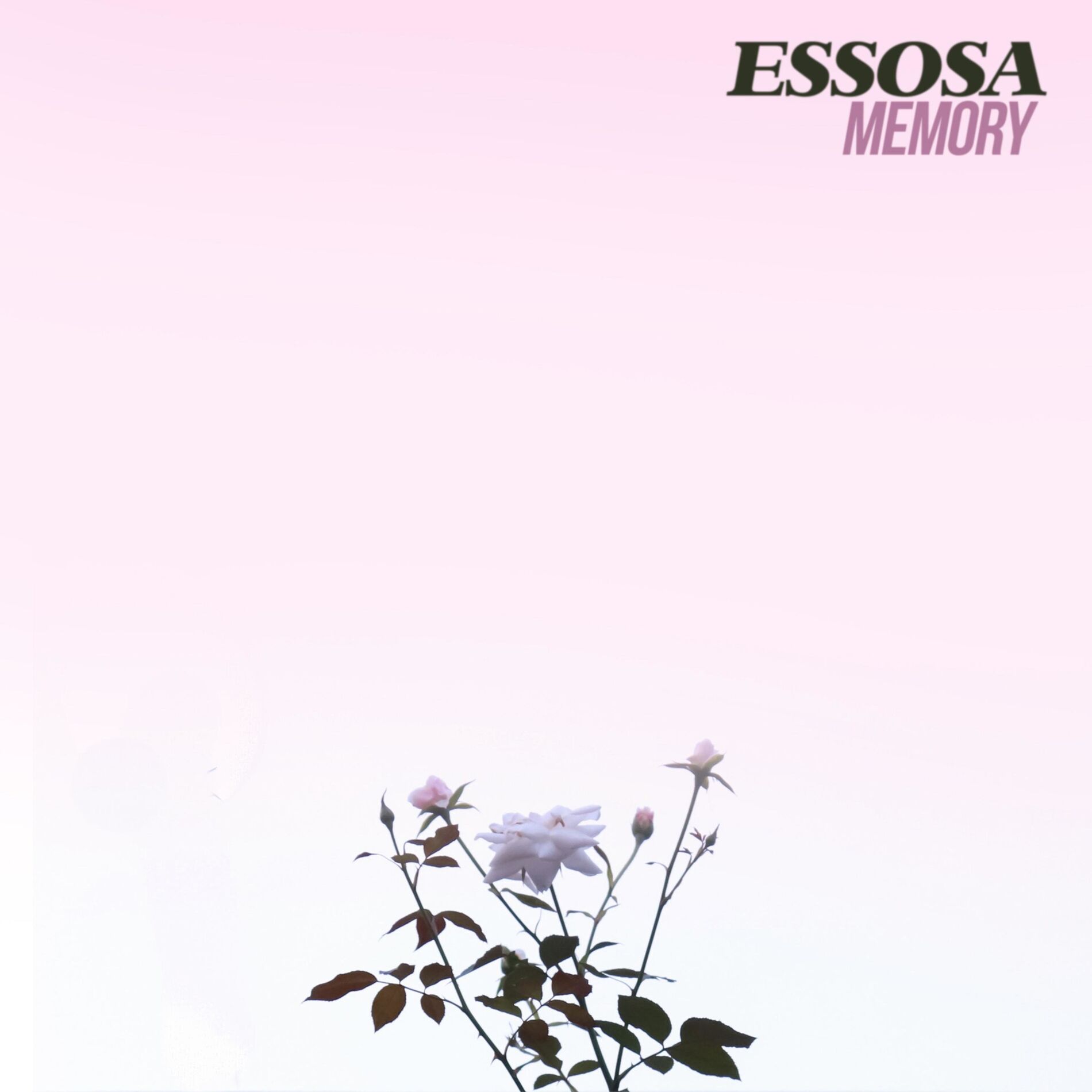 Album cover of Memory