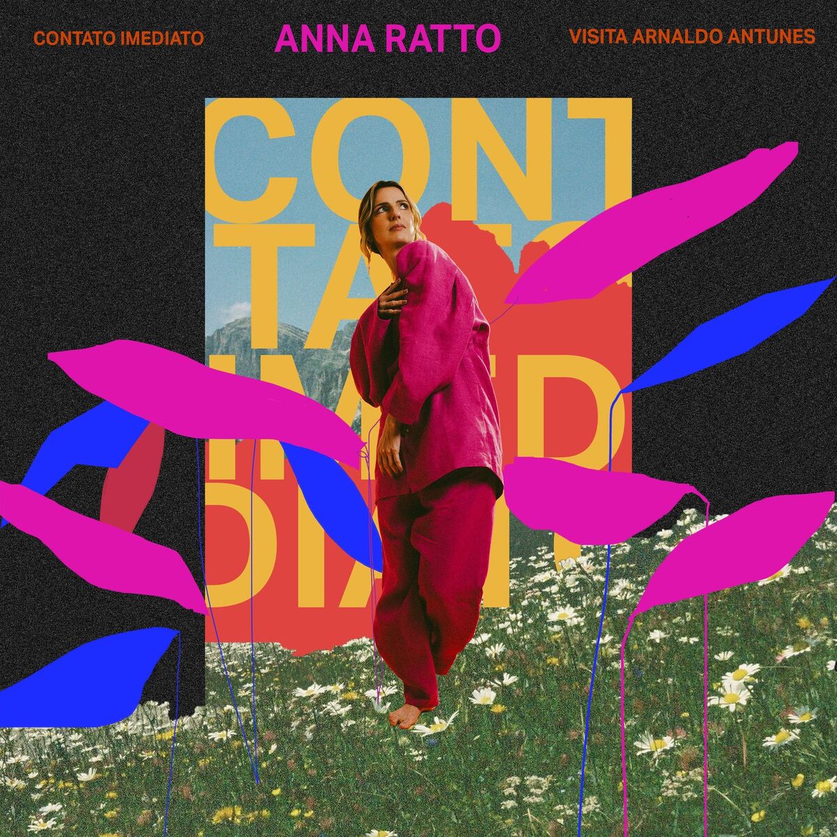 Album cover of A Casa É Sua