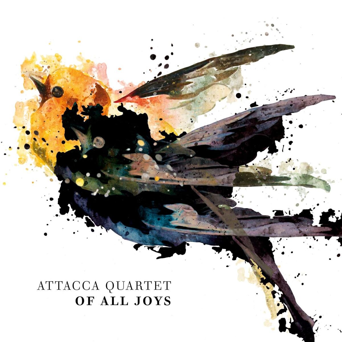 Album cover of Fantasia a 6 in D Minor