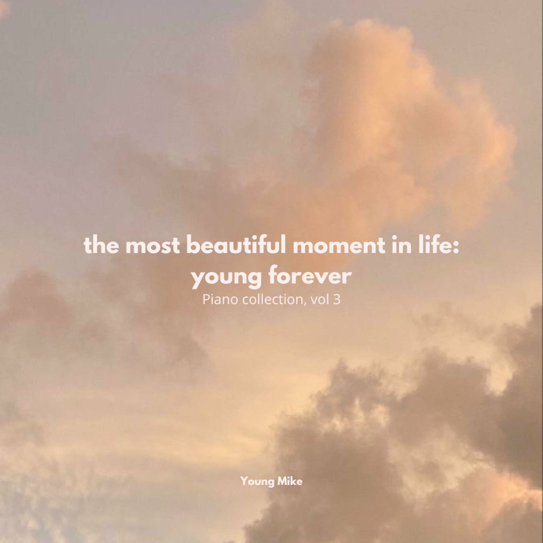 Album cover of The Most Beautiful Moment In Life: Young Forever