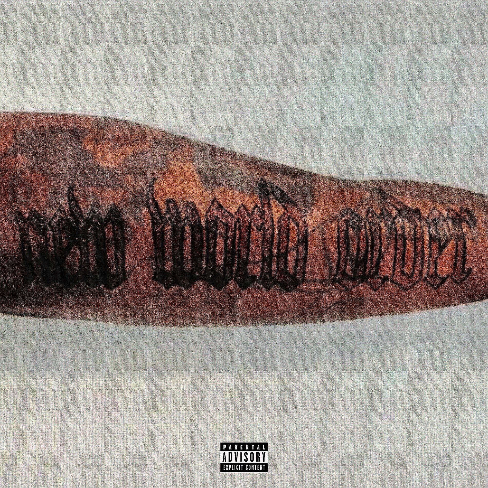 Album cover of New World Order