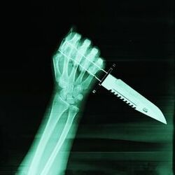 Cover of PSICOSIS
