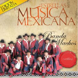 Cover of Las Estrellas de la Musica Mexicana (USA)