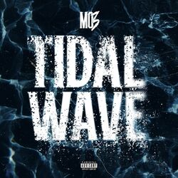 Cover of Tidal Wave