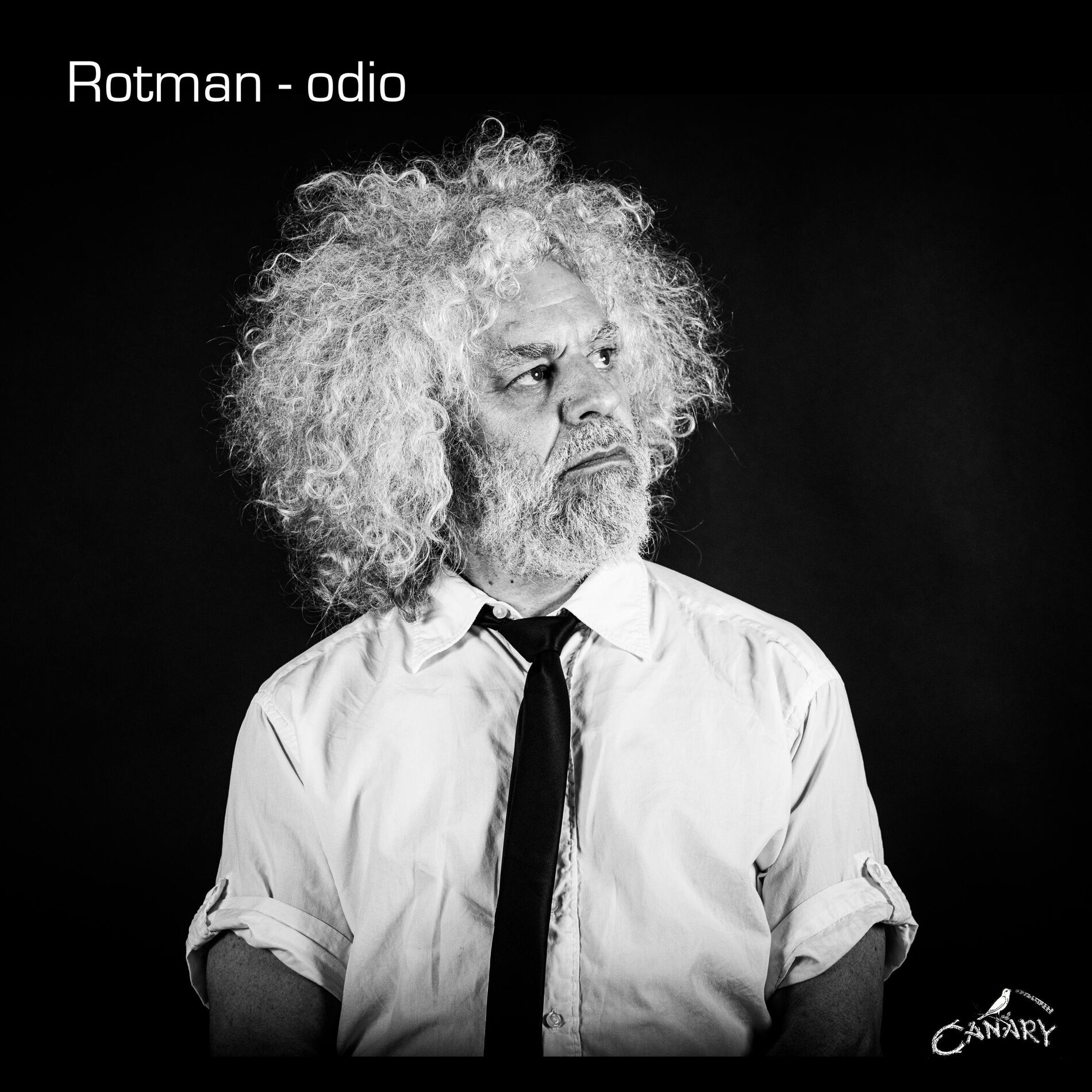 Album cover of odio