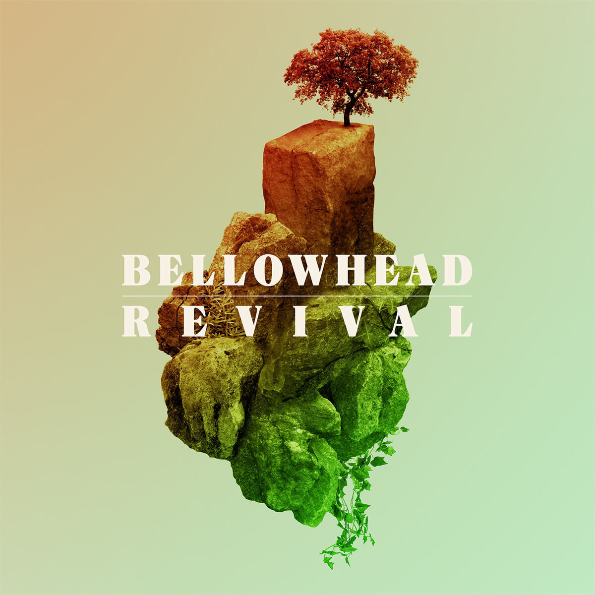 Album cover of Revival (Deluxe)
