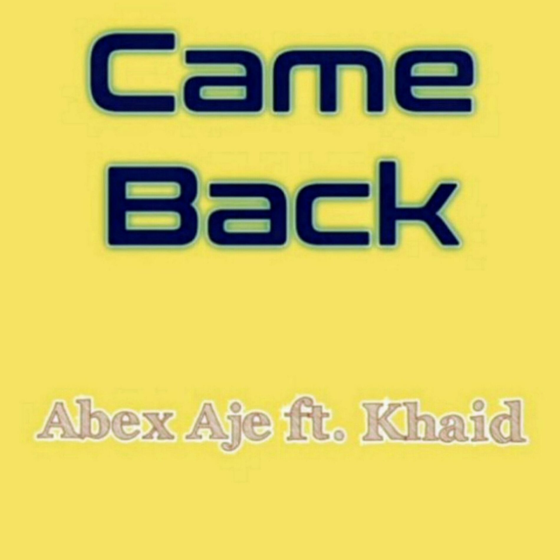 Album cover of Came Back