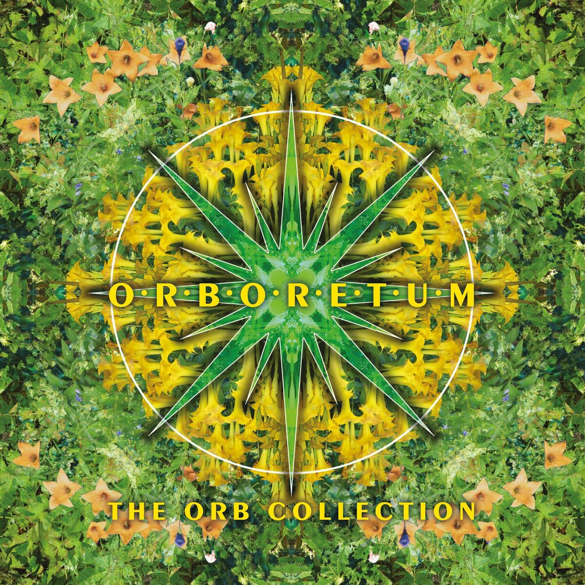 Album cover of Orboretum: The Orb Collection
