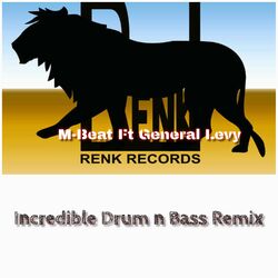 Cover of Incredible Drum n Bass Remix