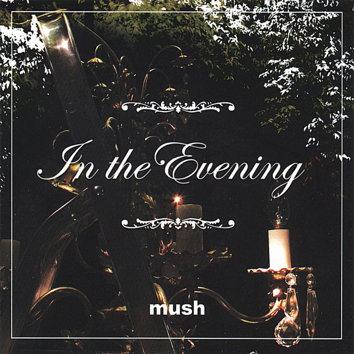 Album cover of In the evening