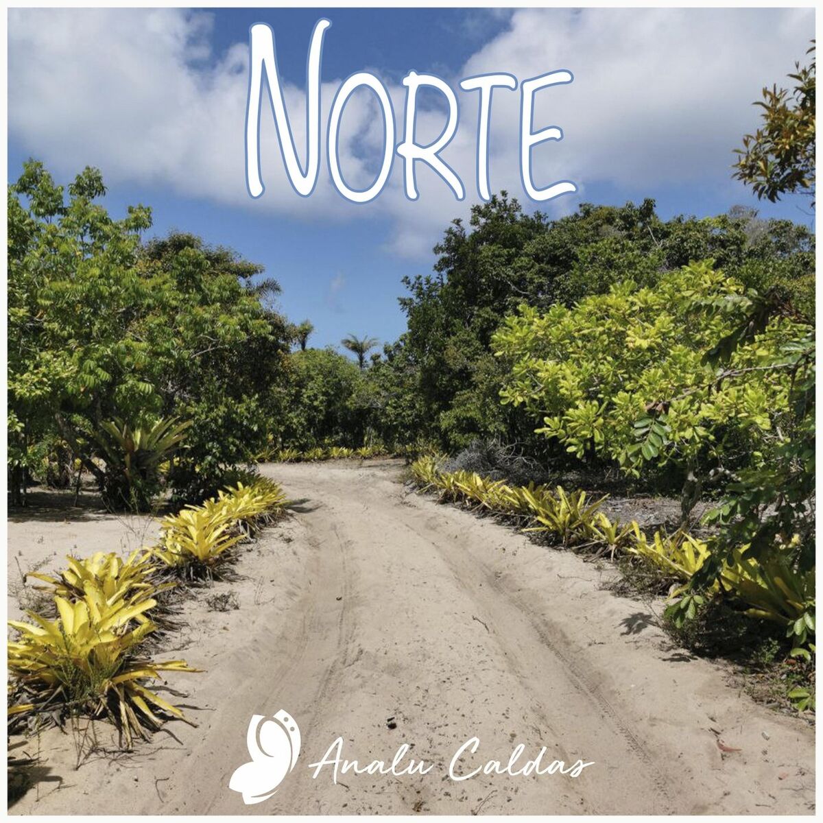 Album cover of Norte