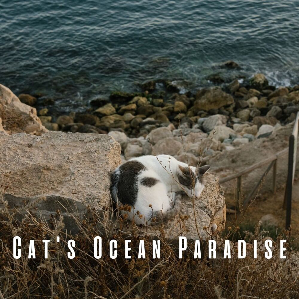 Picture of Cat's Ocean Paradise: Whispers of Insects and Chill Music for Soothing