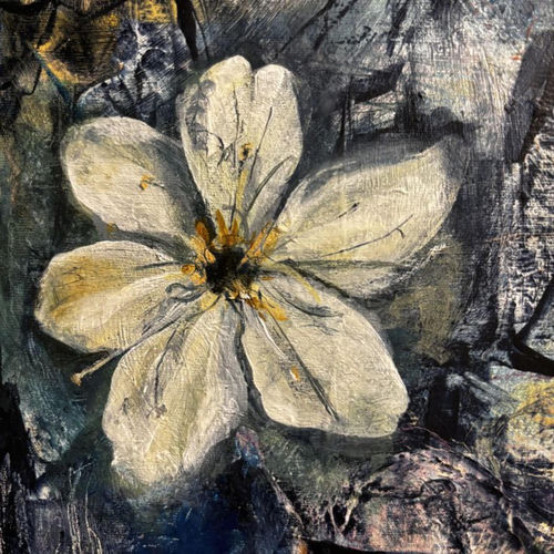Blossom