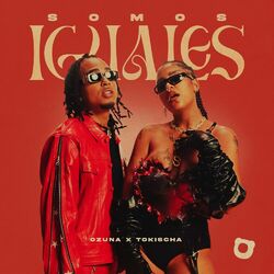 Cover of Somos Iguales