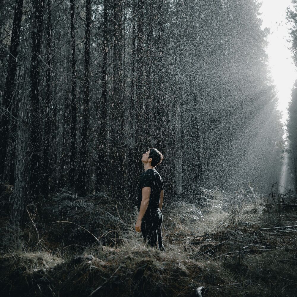 Picture of Rain Awakening