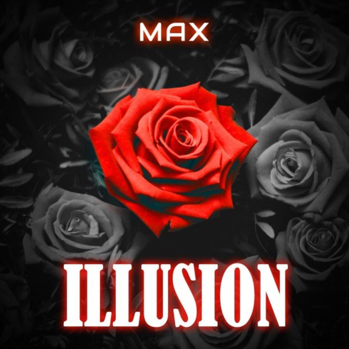 Album cover of Illusion
