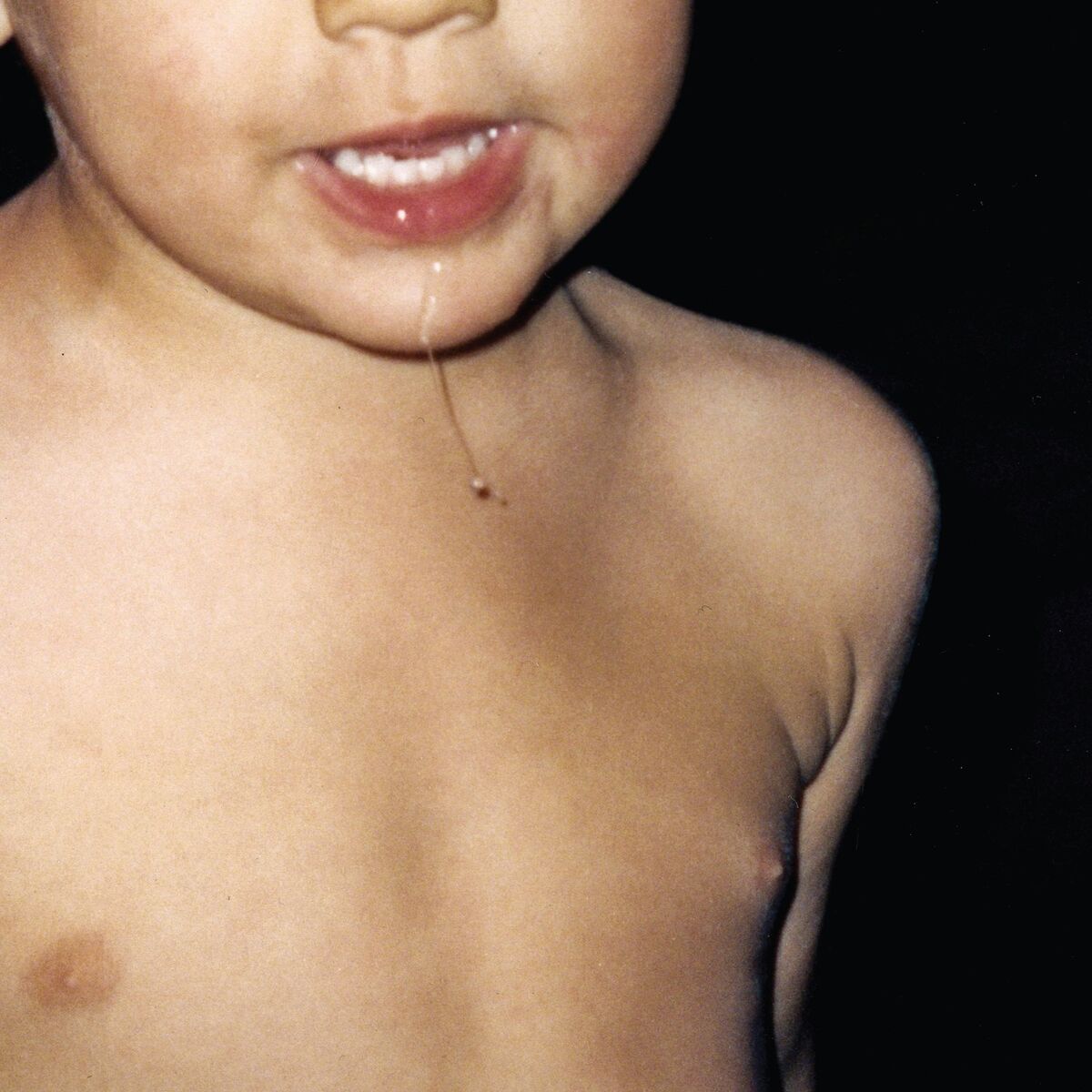 Album cover of Sigo aquí
