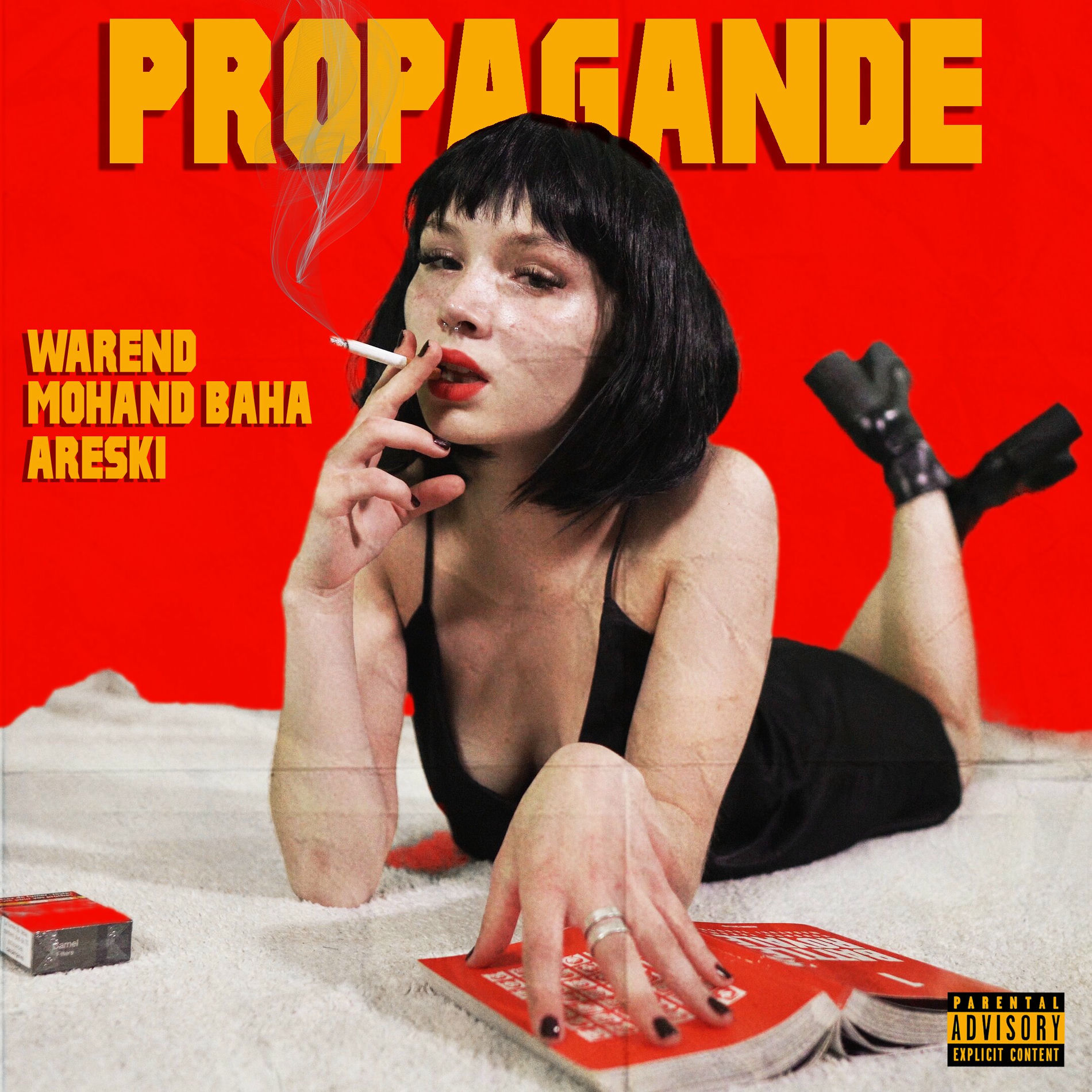 Album cover of Propagande