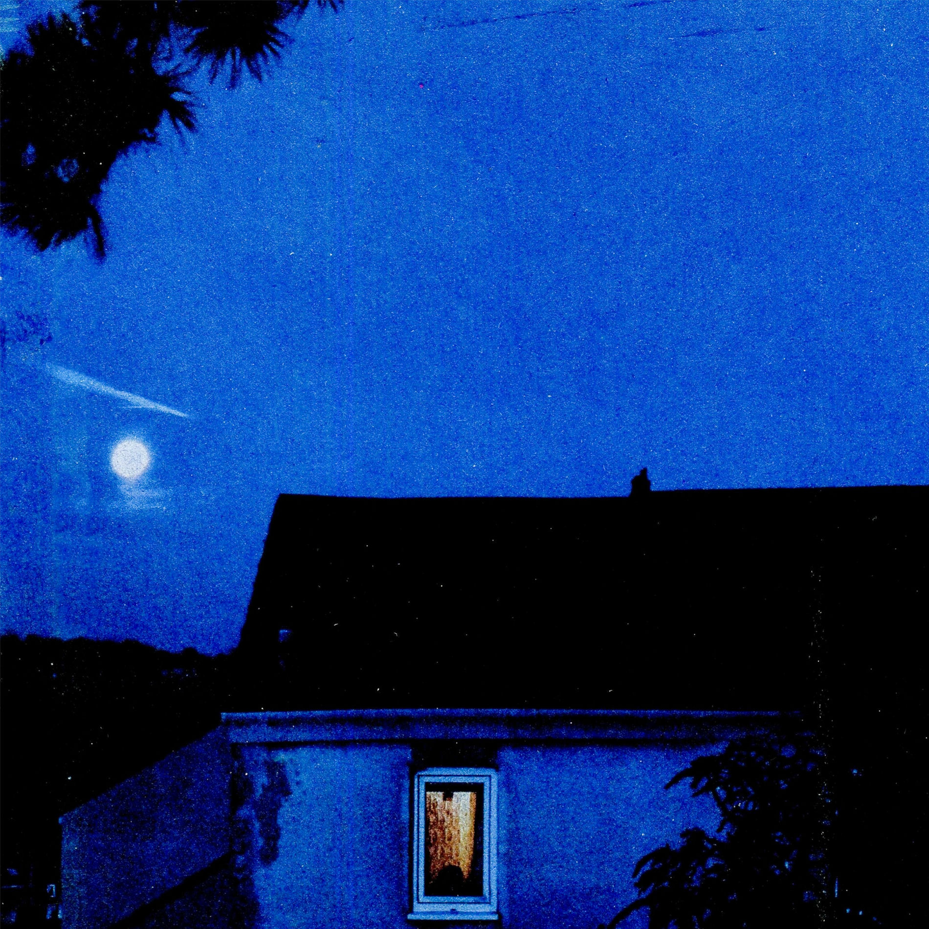 Album cover of Viola