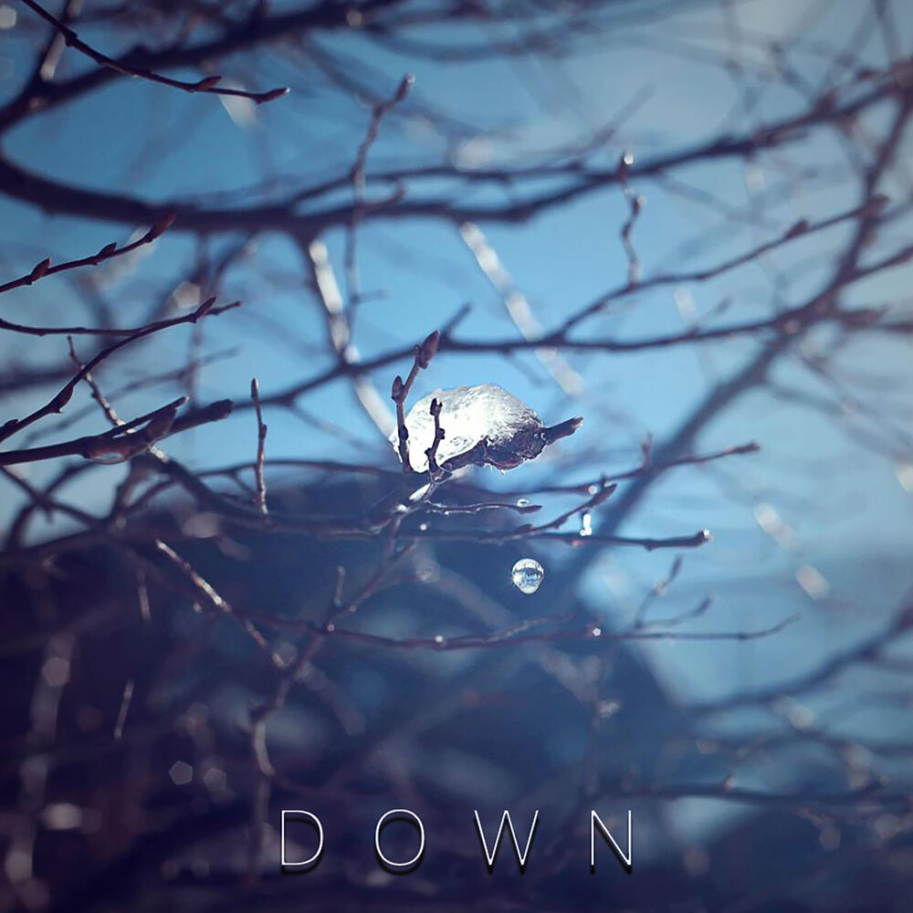 Picture of Down