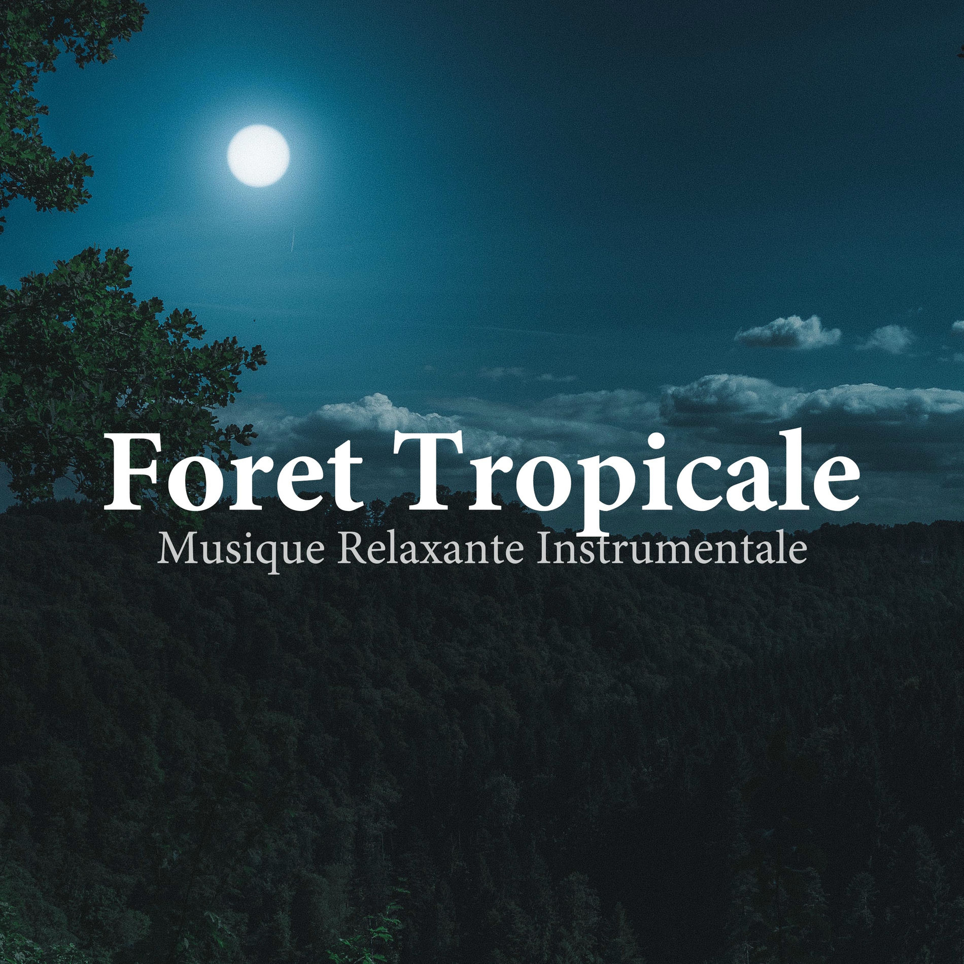 Album cover of Foret Tropicale: Musique Relaxante Instrumentale, Ethnique Flûte et Nature, Ambiance de la Forêt Avec Bruit de L'eau