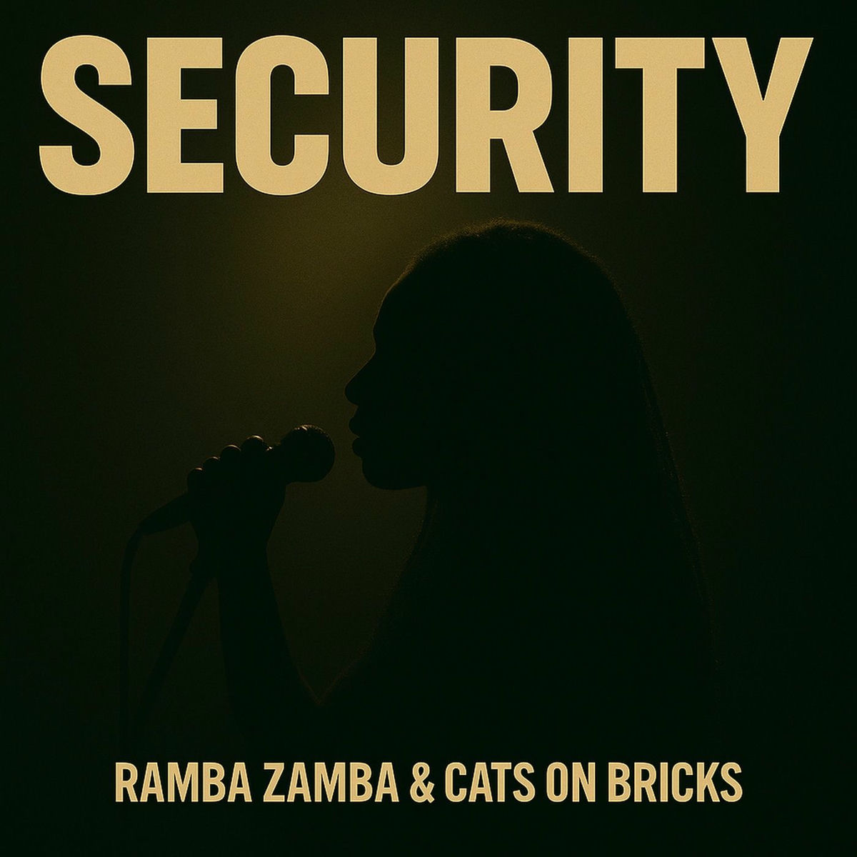 Album cover of Security
