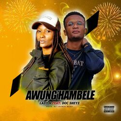 Cover of Awung'hambele