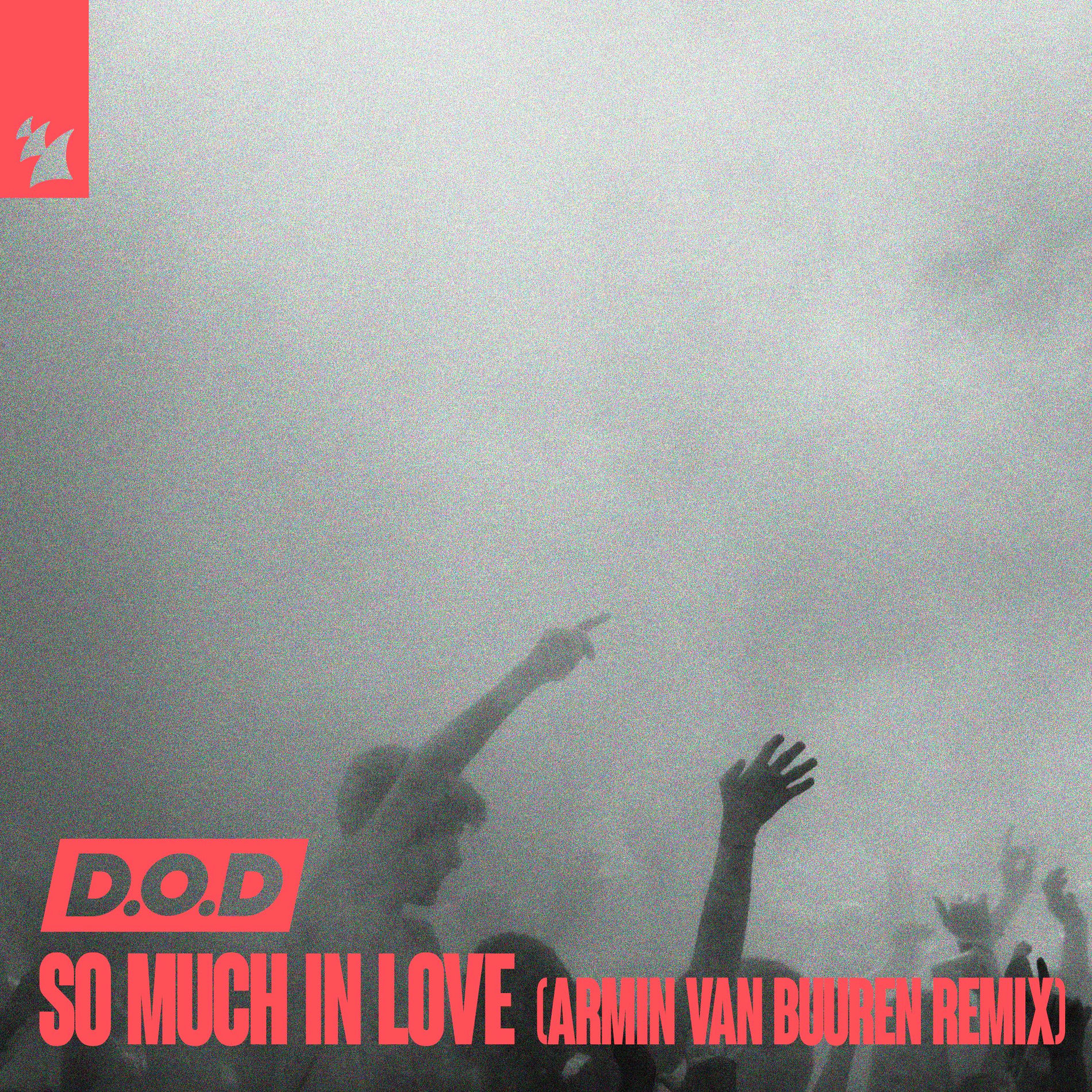 Album cover of So Much In Love