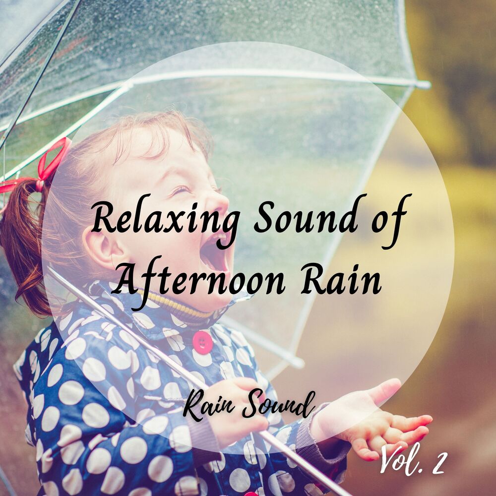 Picture of Rain Sound: Relaxing Sound of Afternoon Rain Vol. 2
