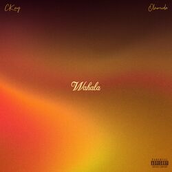 Cover of WAHALA (FEAT. OLAMIDE)