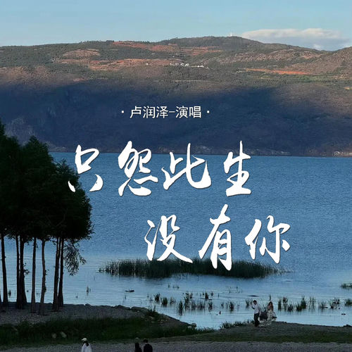 只怨此生没有你