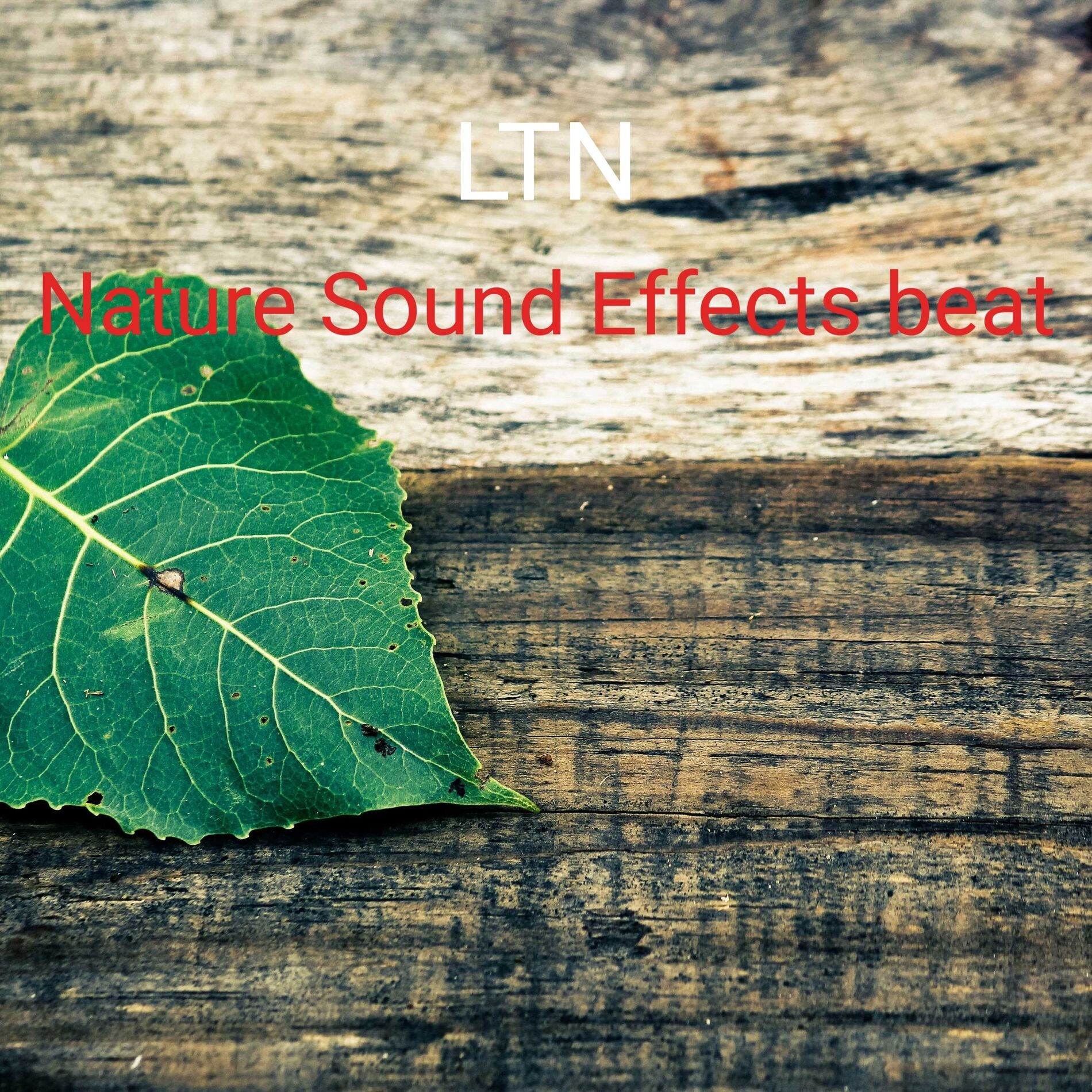 Album cover of Nature Sound Effects beat