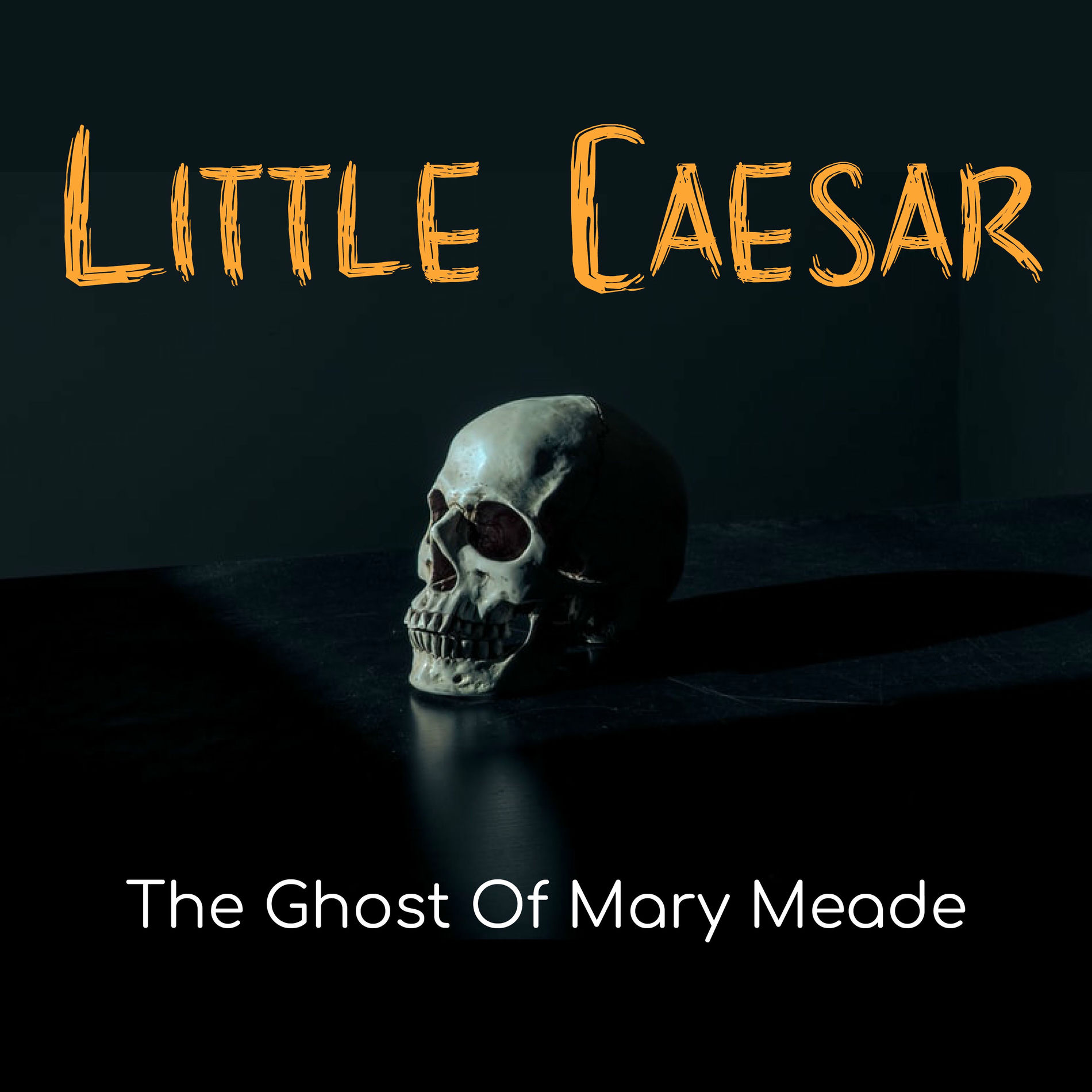 Album cover of The Ghost Of Mary Meade